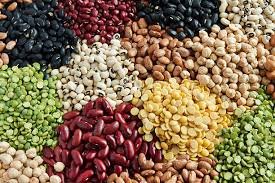 Protein Rich Flour
